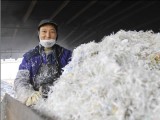 废旧塑料的处理怎样才能利润最大化？